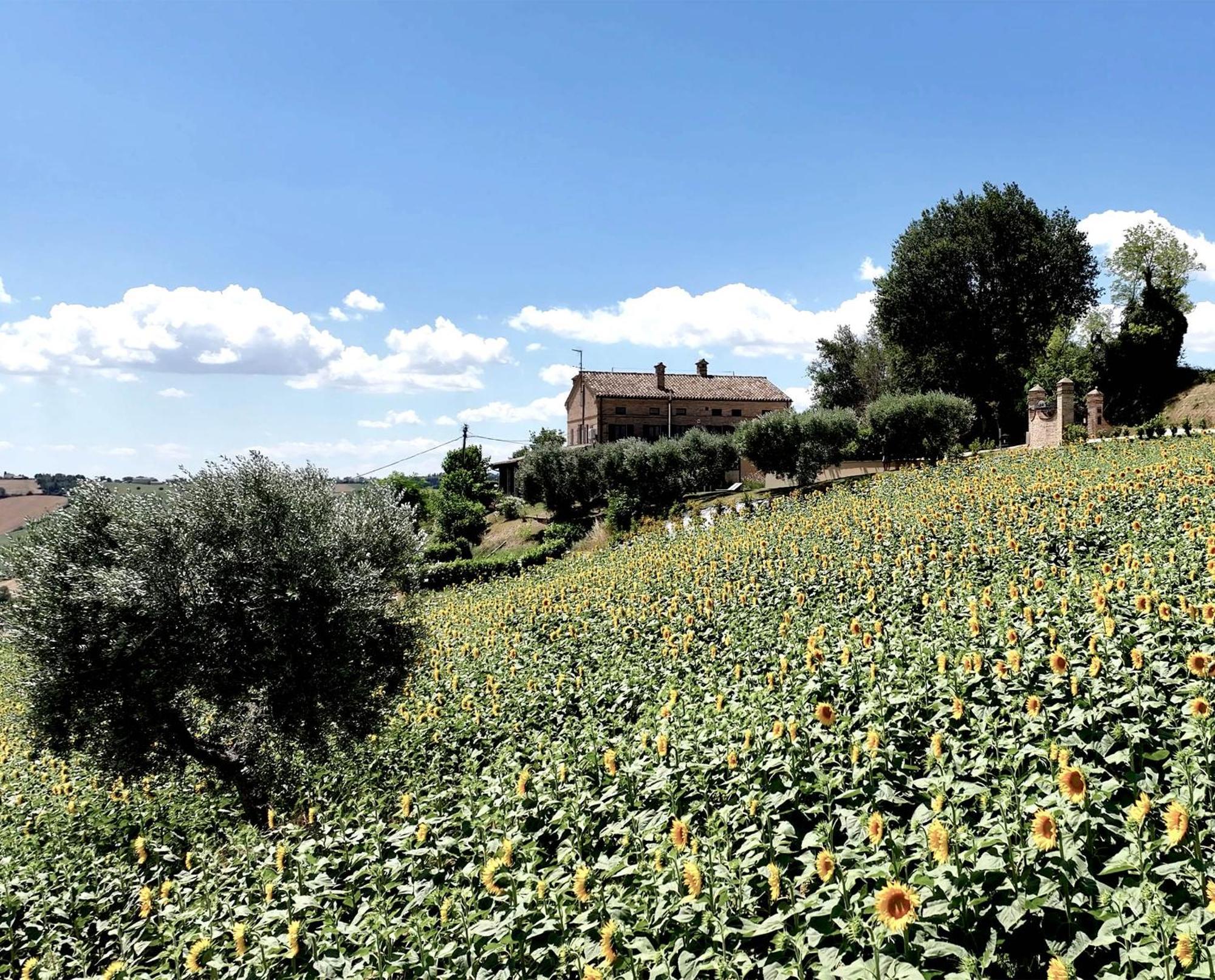 Bed And Breakfast La Vecchia Scuola Montefano Zewnętrze zdjęcie